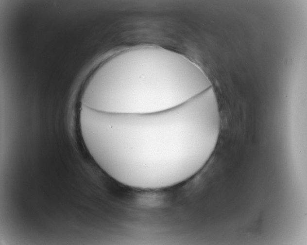 X0000088200342200705292037