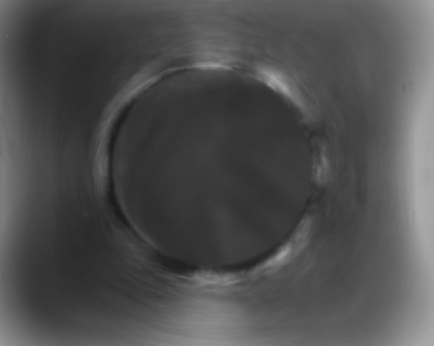 X0000088200343200705292037