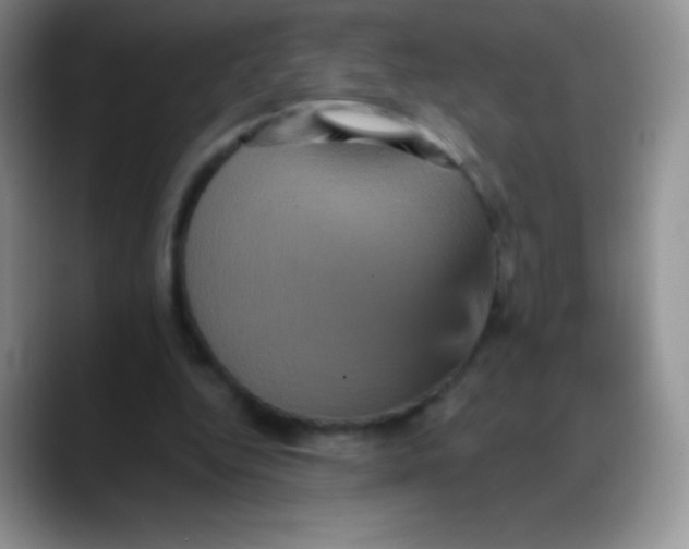 X0000088200344200705292037