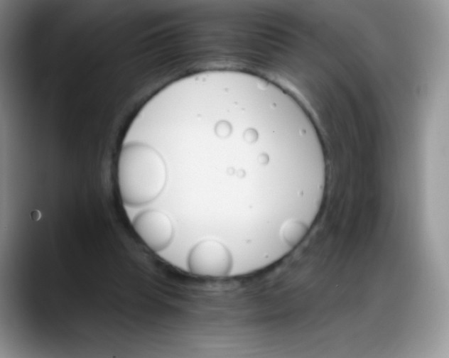 X0000088200345200705292037