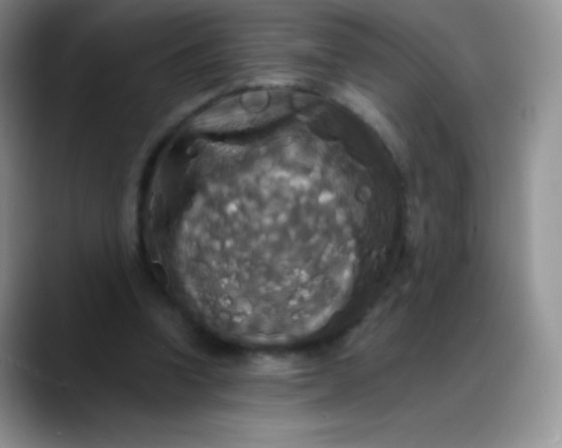 X0000088200346200705292037