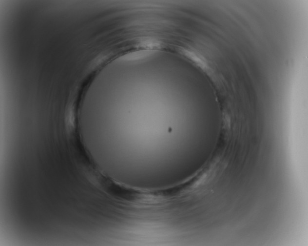 X0000088200347200705292037