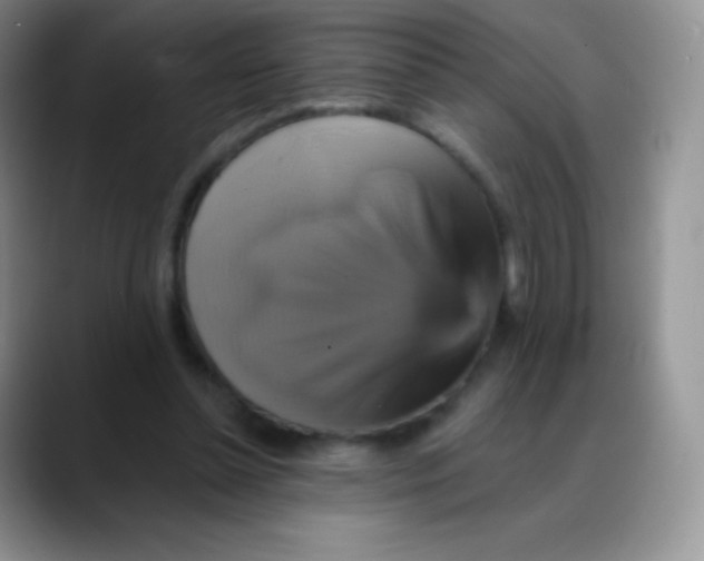 X0000088200348200705292037