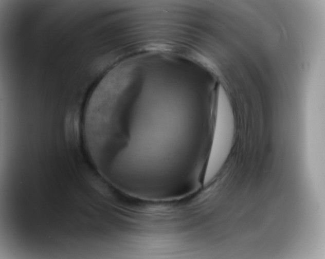 X0000088200349200705292037