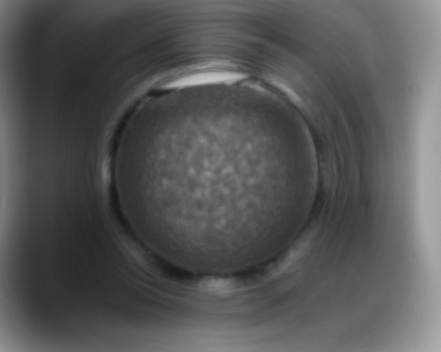 X0000088200350200705292037