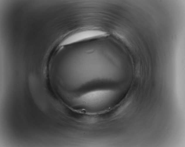 X0000088200351200705292037