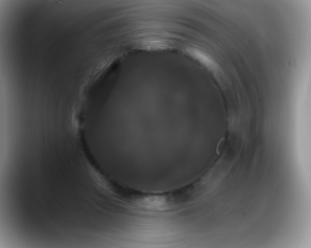 X0000088200353200705292037