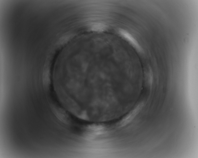 X0000088200354200705292037