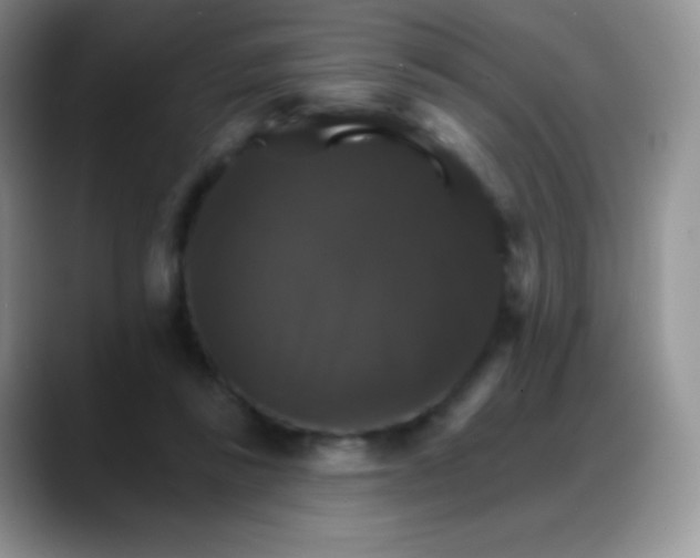 X0000088200355200705292037