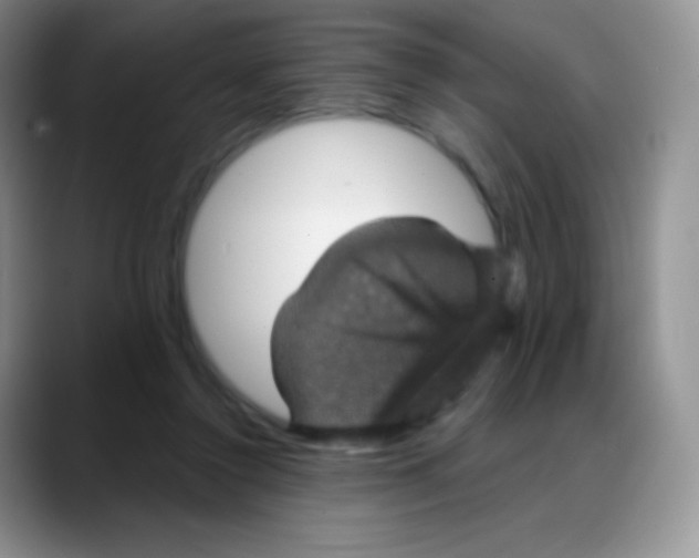 X0000088200356200705292037