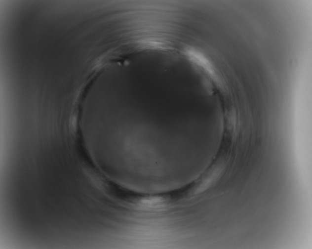 X0000088200357200705292037