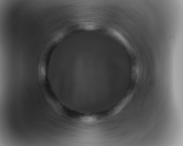 X0000088200358200705292037