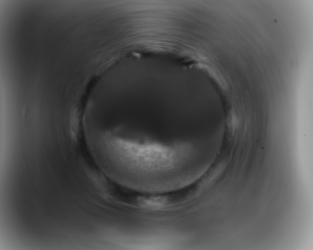 X0000088200359200705292037