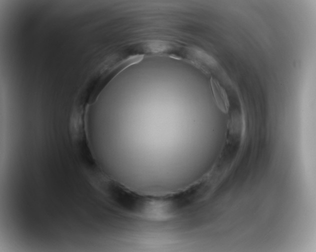 X0000088200360200705292037