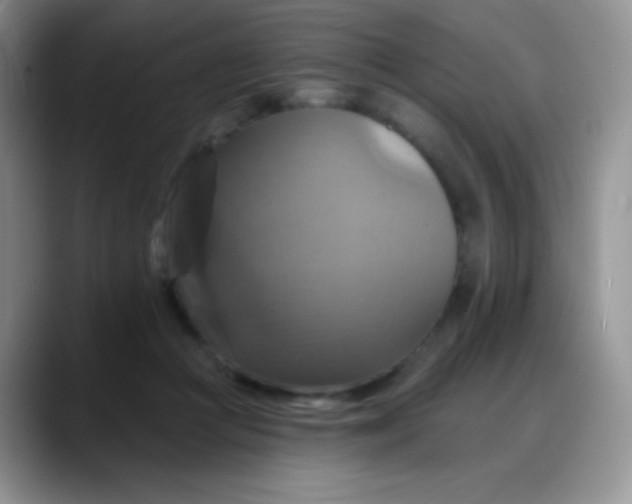 X0000088200361200705292037