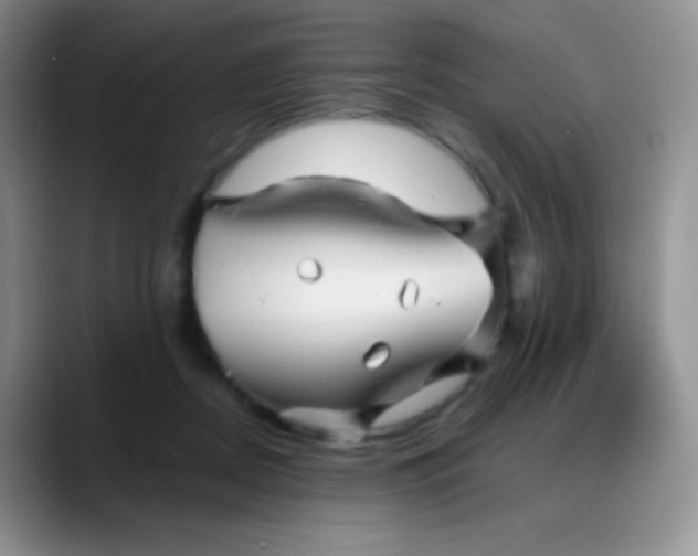 X0000088200362200705292037