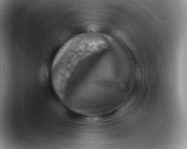 X0000088200363200705292037