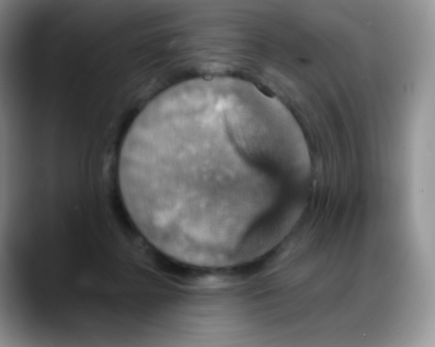 X0000088200364200705292037