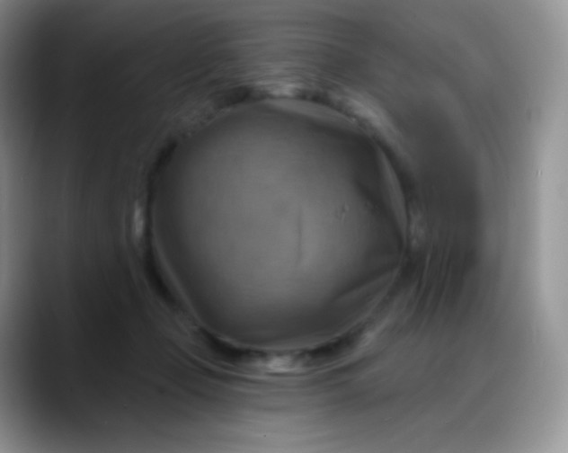 X0000088200365200705292037