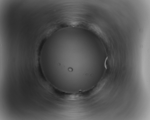 X0000088200366200705292037