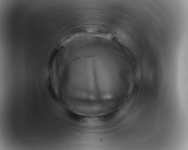 X0000088200367200705292037