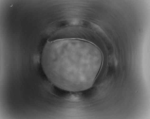 X0000088200368200705292037