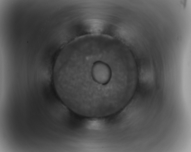 X0000088200370200705292037