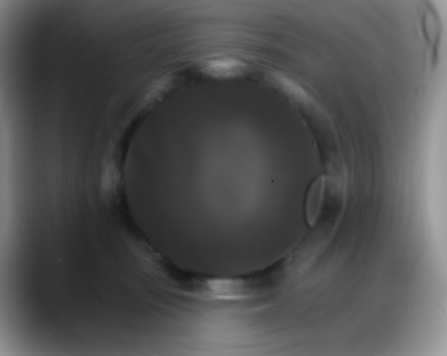 X0000088200371200705292037