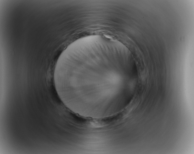 X0000088200372200705292037