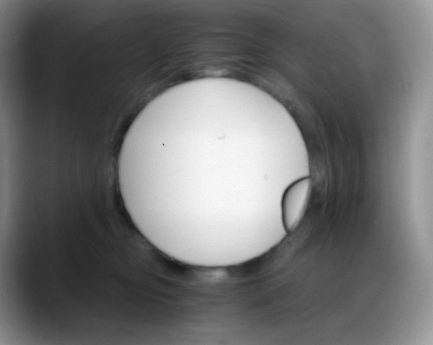 X0000088200374200705292037