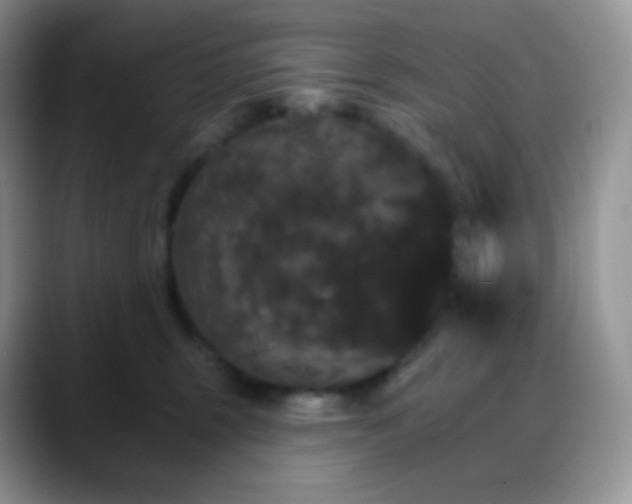 X0000088200375200705292037