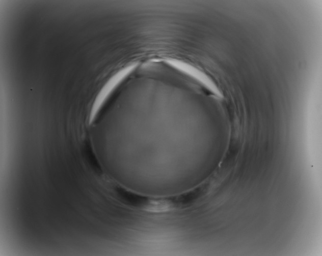 X0000088200376200705292037