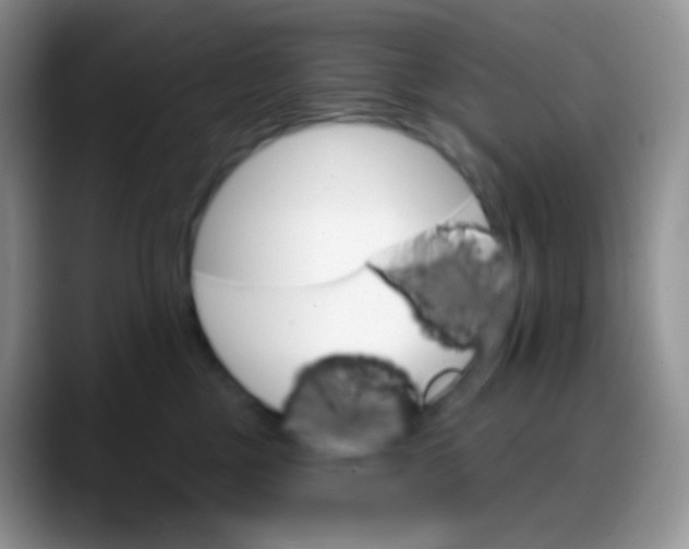 X0000088200377200705292037