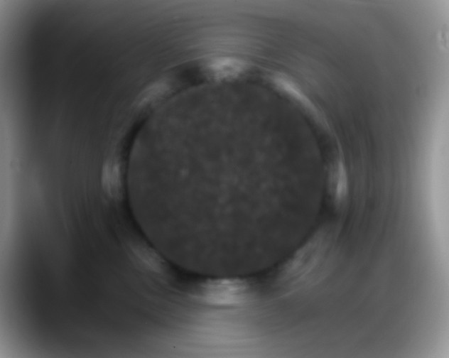 X0000088200378200705292037