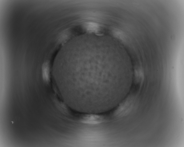 X0000088200379200705292037