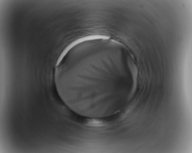 X0000088200380200705292037