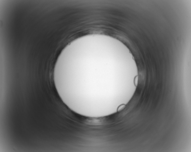 X0000088200381200705292037