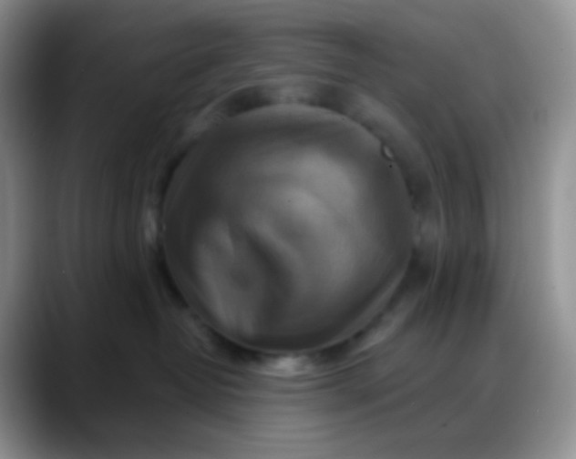 X0000088200382200705292037