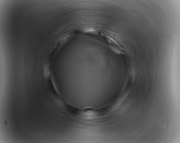 X0000088200383200705292037