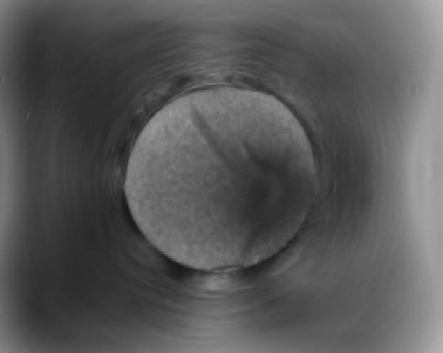 X0000088200384200705292037