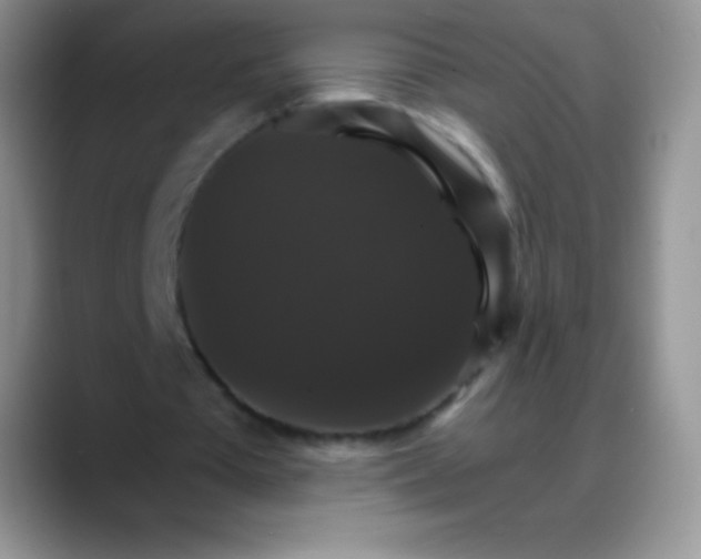 X0000088200385200705292037