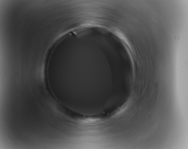 X0000088200387200705292037