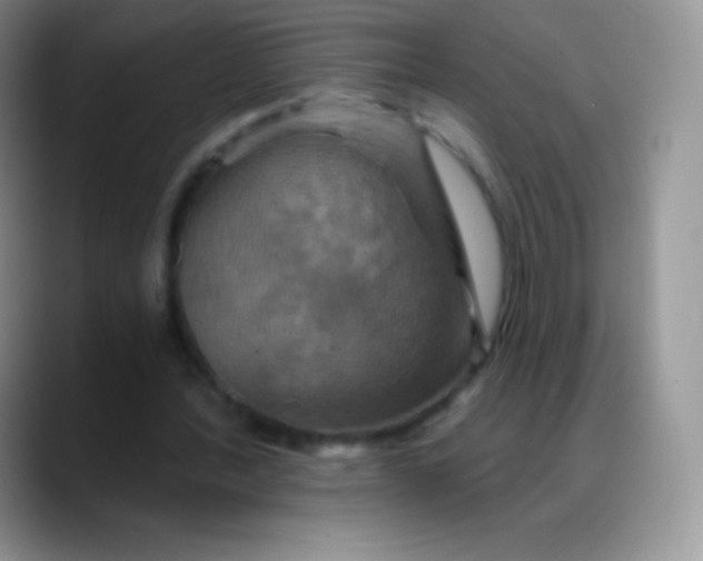 X0000088200388200705292037