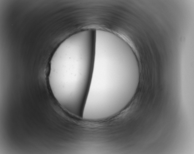 X0000088200389200705292037