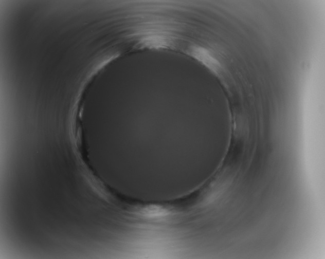 X0000088200390200705292037