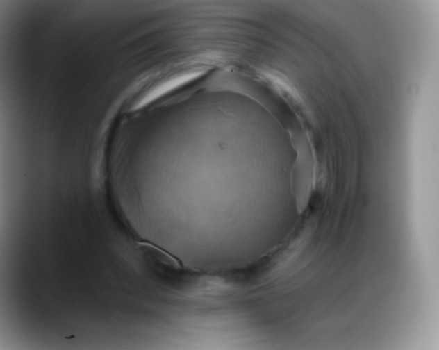 X0000088200392200705292037