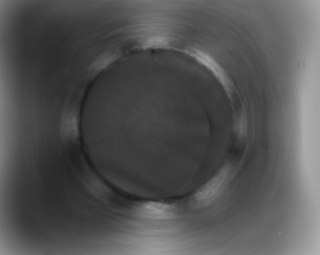 X0000088200393200705292037