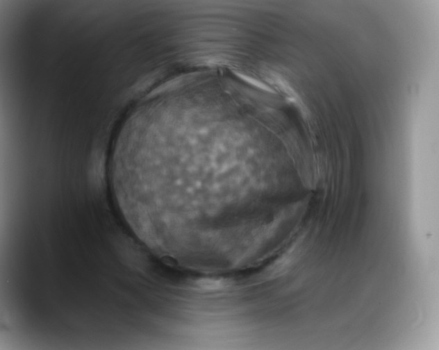 X0000088200394200705292037