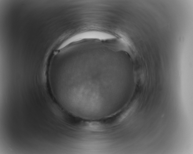 X0000088200395200705292037