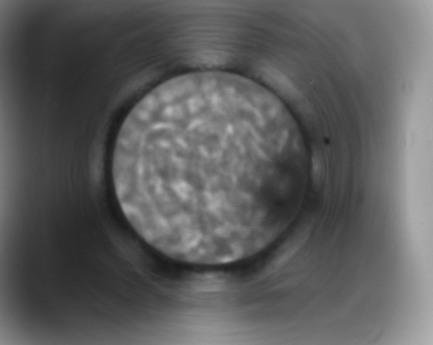 X0000088200396200705292037